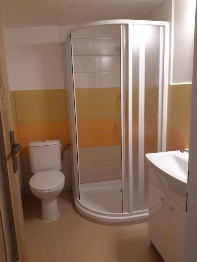 Apartman Plasy מראה חיצוני תמונה