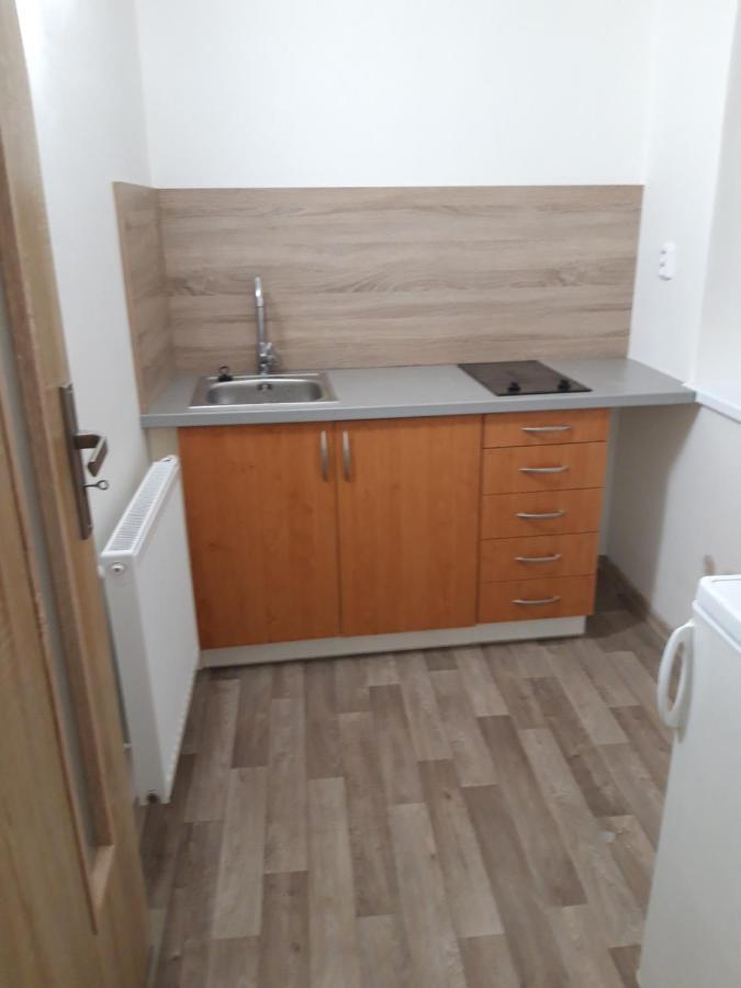 Apartman Plasy מראה חיצוני תמונה